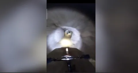 Viral Video This Cycle Drive Thru Abandoned Lead Mine 