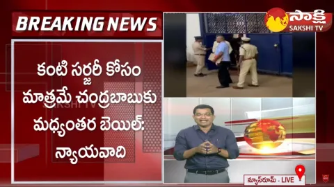 Briefly Explained about Chandrababu Bail In Skill Development Scam Case
