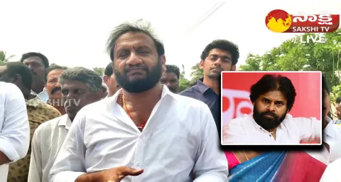 MLA Nallapareddy Prasanna Kumar Reddy Fire On Janasena Pawan Kalyan