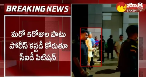 Chandrababu Bail And Custody Petition