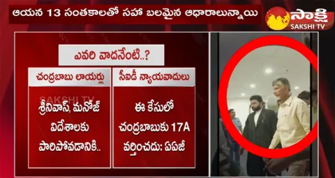 Chandrababu Bail Petition In Skill Development Scam