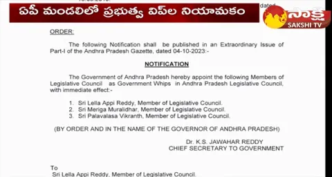 AP Govt Appointment Whips In Legislative Council