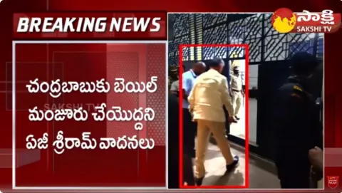 AAG Sriram Arguments on Chandrababu Bail Petition