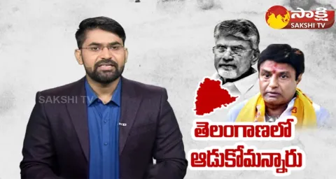 Chandrababu Insults Nandamuri Balakrishna 