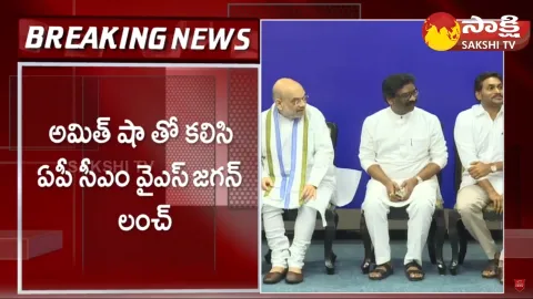 CM Jagan Lunch Meet With Amit Shah