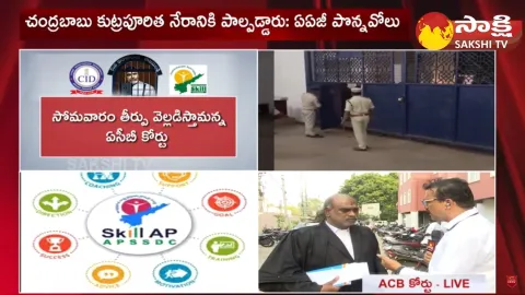 Chandrababu Bail Petition Verdict Postponed