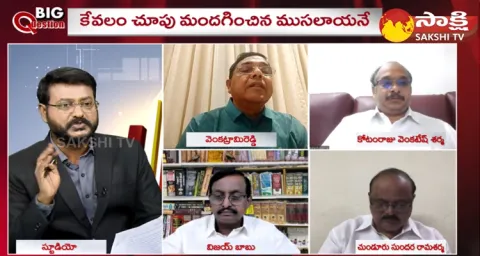 Big Debate On Chandrababu Bail 