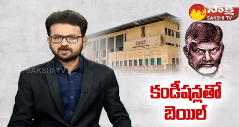 Chandrababu Naidu Bail Conditions