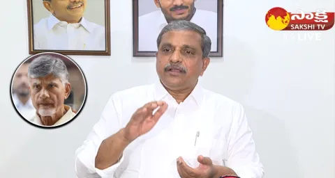 Minister Sajjala Ramakrishna Reddy Comments On Chandrababu Interim Bail
