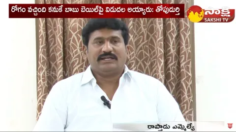MLA Thopudurthi Prakash Reddy Comments On Chandrababu Release, TDP Leaders Overaction