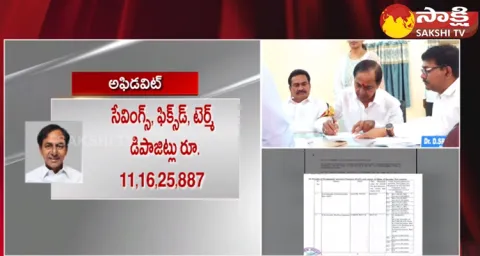 CM KCR And Revanth Reddy And Others Declares Assets In Election Affidavit