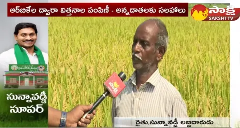 AP Farmers Great Words About YSRCP Govt Sunna Vaddi Scheme