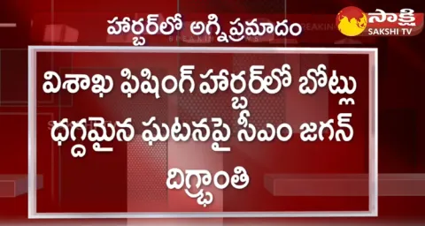 CM YS Jagan Reacts On Vizag Fishing Harbour Fire Incident