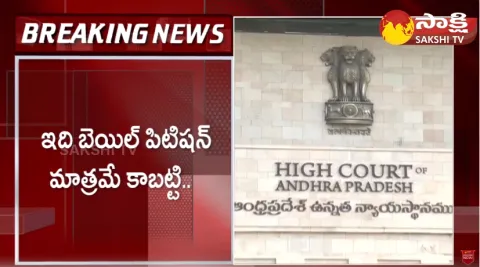 AP High Court Key Comments On Chandrababu Bail 