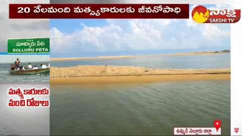 CM Jagan Govt Green Signal To Pulicat Lake Excavation