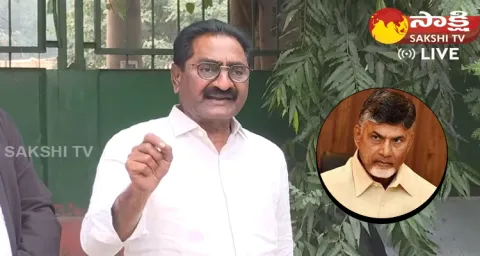 Advocate Ponnavolu Sudhakar Reddy Shocking Comments On Chandrababu Bail