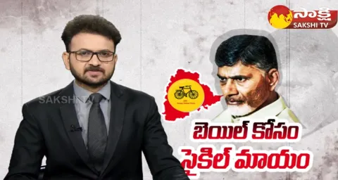 Chandrababu Conspiracy In Getting Bail 