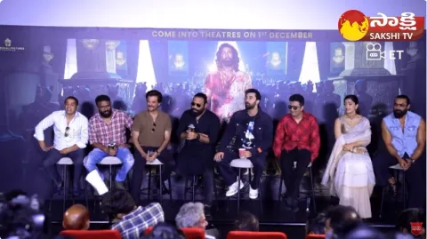 Sandeep Reddy Vanga Comments On Top Heros Movies