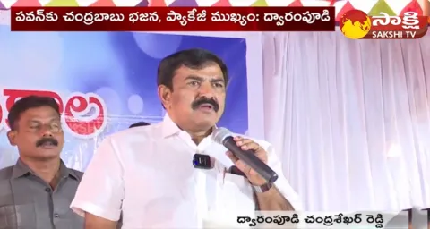Dwarampudi Chandrasekhar Reddy Comments On Pawan Kalyan Chandrababu