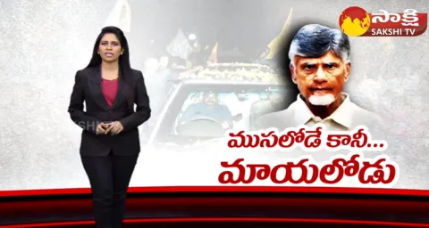 Chandrababu Violated Interim Bail Conditions