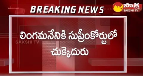 Supreme Court Key Comments On Rushikonda Constructions 