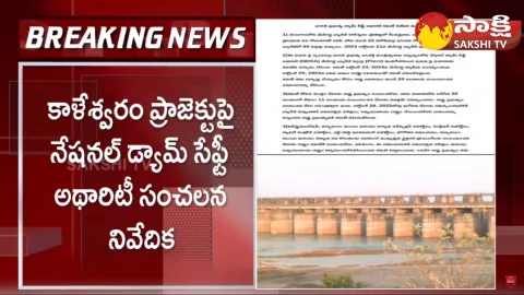 National Dam safety Report On Medigadda Barrage Kaleshwaram Project Issues