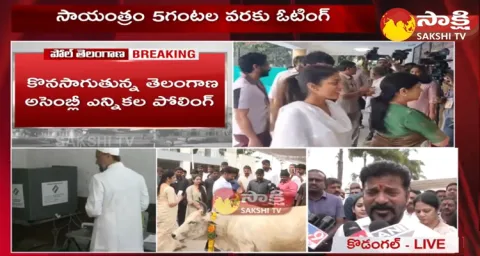 TPCC Revanth Reddy Cast His Vote At Kodangal 