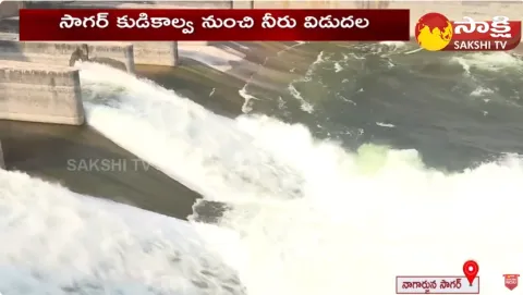 AP Govt Released Water From Nagarjuna Sagar Right Canal