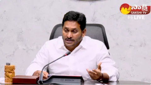 CM Jagan Video Conference with District Collectors