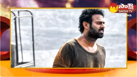 Salaar Release Postponed Again