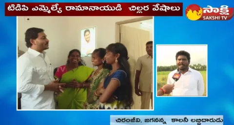 TDP MLA Nimmala Rama Naidu Over Action