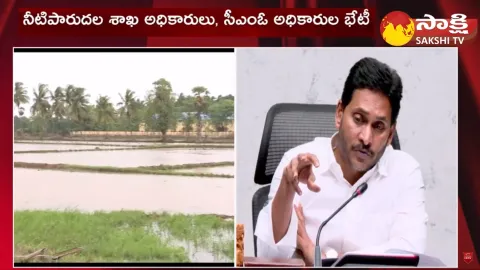 CM Jagan Review Meeting: AP Govt Decides to Provide Water for Rabi in Godavari Delta