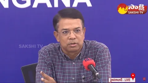 Election Commission CEO Vikas Raj Comments on Telangana Polling and Counting