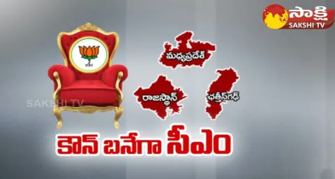 BJP Focus On Elect CMs For Three States 