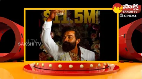 Animal Movie Breaking All Records