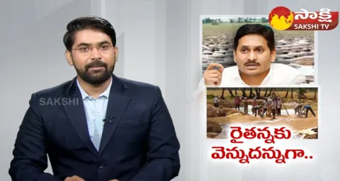 AP Government Input Subsidy To Farmers