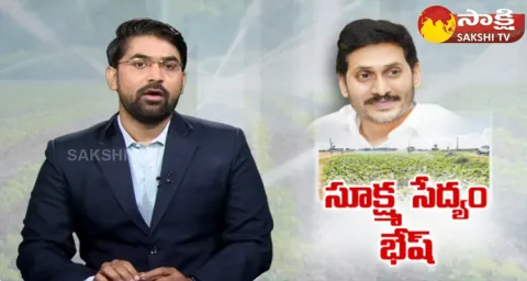 YSRCP Govt Focus On Micro Irrigation