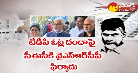 TDP Fake And Double Votes YSRCP Vijay Sai Reddy Complaint To EC 