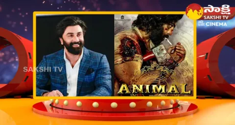 Bollywood Eagerly Waiting For Animal-2 