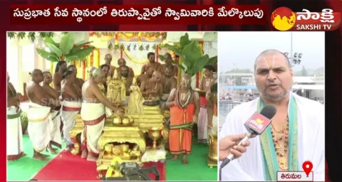 Dhanurmasam Starts From Today In Tirumala