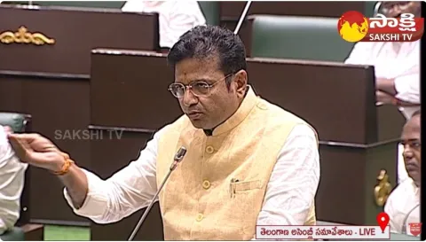 Deputy CM Bhatti Vikramarka And Sridhar Babu Slams Harish Rao In Assembly