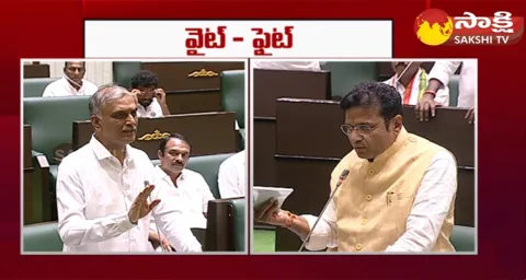 White Paper Discussion In Telangana Assembly
