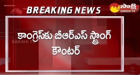 BRS Party Will Release White Paper On Telangana Development 