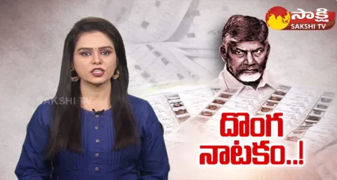 TDP Fake Votes AP Assembly Elections