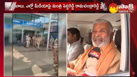 Minister Peddireddy Ramachandra Reddy Slams Chandrababu