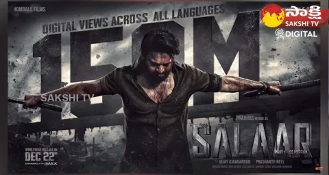 Salaar Movie Box Office Collections