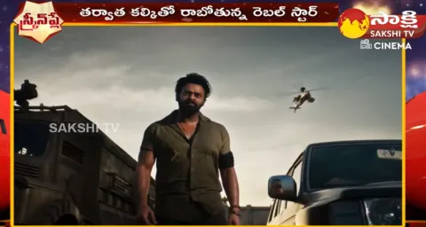 Prabhas Salaar Has Crossed Rs 500 Crores At Box Office