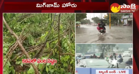 Cyclone Michaung To Impact On Telangana