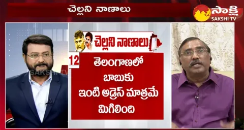 Special Debate Over Chandrababu And Pawan Kalyan Effect On Telangana Elections