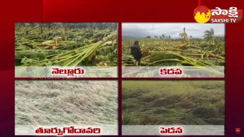 Michaung Cyclone Severe Impact on AP